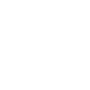 icon_modello-business_white.png